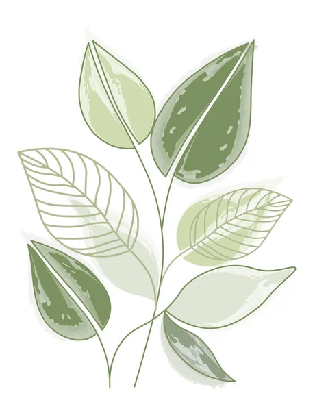 Nástěnné Umění Jemné Zelené Akvarelové Listy Kontury Listí Bílém Pozadí — Stockový vektor