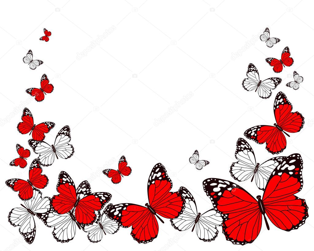 Background for text, drawn white and red flying butterflies. Wedding invitation, anniversary, holiday decor