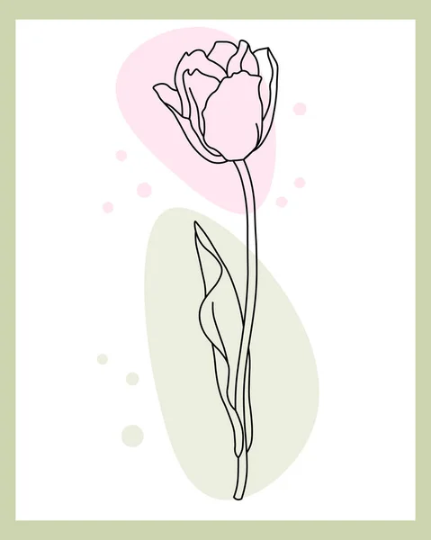 Γραμμή Τέχνη Περίγραμμα Τουλίπας Λουλούδι Την Προσθήκη Χρωματιστά Σημεία Παστέλ — Διανυσματικό Αρχείο