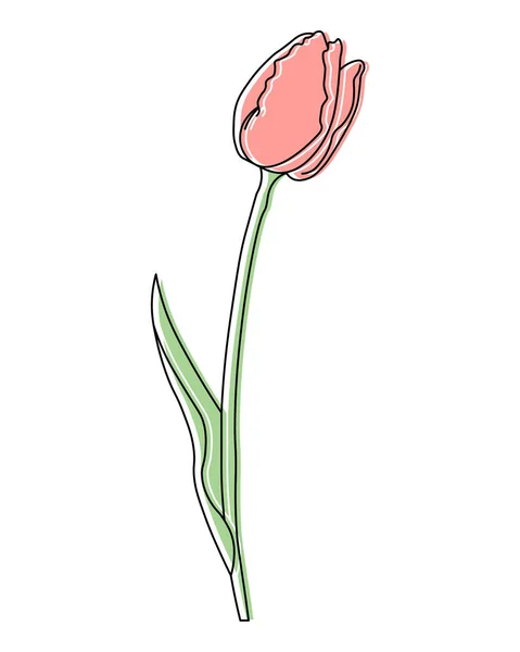 Ilustrace Kreslené Růžové Tulipánové Květiny Nástěnné Umění Plakát Pohlednice Pozvánka — Stockový vektor