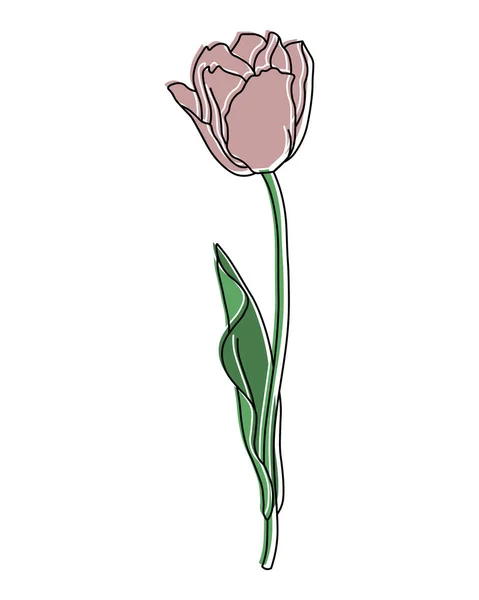 Illusztráció Egy Rajzolt Rózsaszín Tulipán Virág Fali Művészet Poszter Képeslap — Stock Vector