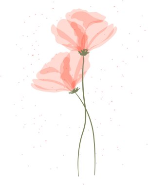 Duvar sanatı, beyaz arka planda şeffaf pembe haşhaş. Pastel renkler. Poster, kartpostal