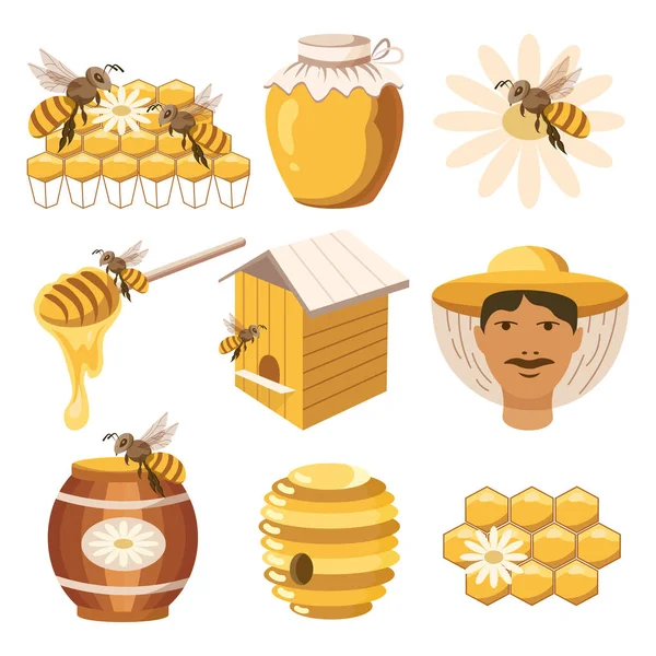Honig Illustrationsset Ein Glas Honig Und Ein Fass Honig Ein — Stockvektor