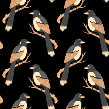Kusursuz desenli, siyah bir arka planda, dalda oturan renkli saksağan kuşları. Yazdırma, tekstil, duvar kağıdı, pastel dekor