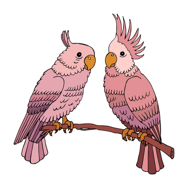 Иллюстрация Раскрашенные Разноцветные Попугаи Бежевые Розовые Тона Ветке Дерева Пара — стоковый вектор