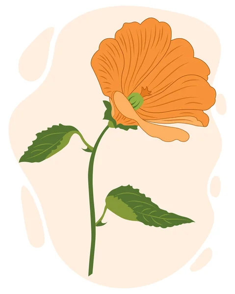 Иллюстрация Нарисовала Оранжевый Цветок Лилии Стебле Листьями Печать Плакат Открытка — стоковый вектор