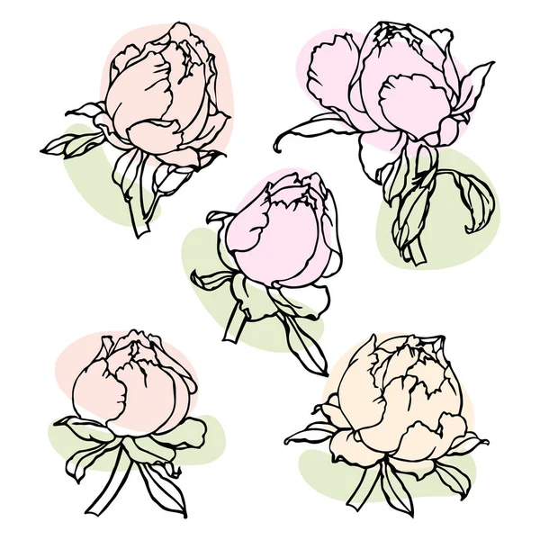 Ensemble Roses Contour Dessinées Avec Des Taches Colorées Sur Fond — Image vectorielle