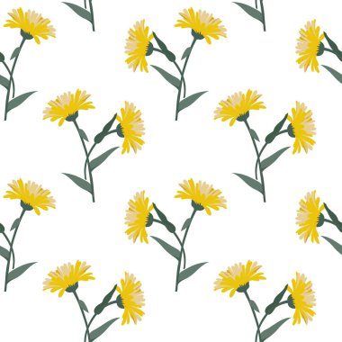 Kusursuz desenler, beyaz arka planda yaprakları olan sarı ekinezya çiçekleri. Yazdırma, tekstil, pastel kumaşlar için dekor, duvar kağıdı