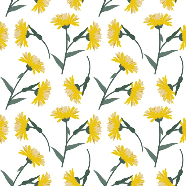 Kusursuz desenler, beyaz arka planda yaprakları olan sarı ekinezya çiçekleri. Yazdırma, tekstil, pastel dekor, duvar kağıdı