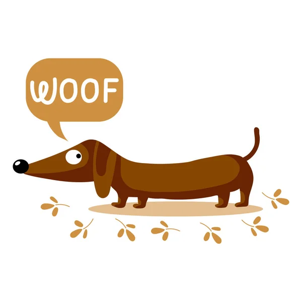 Childish Illustration Cute Dachshund Dog English Text Woof Happy Concept — Stockvektor