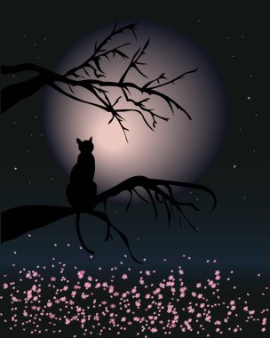 İllüstrasyon, bir ağaç dalındaki kara kedi gece gökyüzünün arka planında ay ve pembe çiçeklerle. Duvar sanatı, poster, klip sanatı