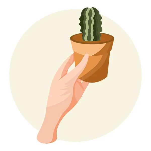 Illustration Protection Des Plantes Mains Tenant Une Plante Domestique Dans — Image vectorielle