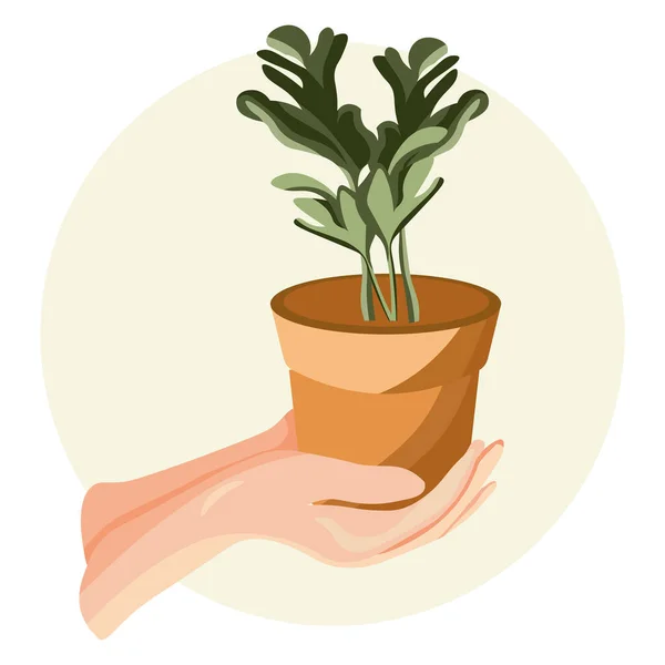 Plantaardige Bescherming Illustratie Handen Houden Van Een Huisplant Een Pot — Stockvector