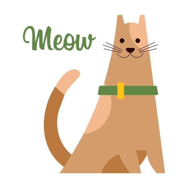 Εικονογράφηση Χαριτωμένη Γάτα Κολάρο Και Κείμενο Μιάου Παιδική Εκτύπωση Καρτ — Διανυσματικό Αρχείο