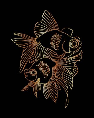 İllüstrasyon, siyah arkaplandaki altın balığın zarif hatları. Yazdır, poster, duvar sanatı