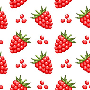 Kusursuz desenli, beyaz arka planda dağınık tohumlu kırmızı ahududu. Meyve arkaplanı, yazdırma, tekstil, vektör
