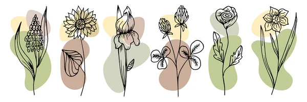 Karalama Tarzında Çizimi Çiçekler Soyut Renk Lekeleri Olan Siyah Çizgiler — Stok Vektör