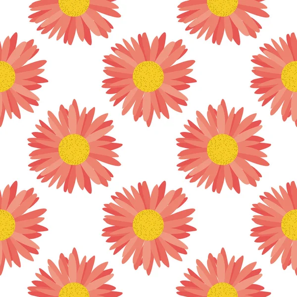 Motif Sans Couture Grandes Fleurs Roses Chrysanthèmes Sur Fond Blanc — Image vectorielle