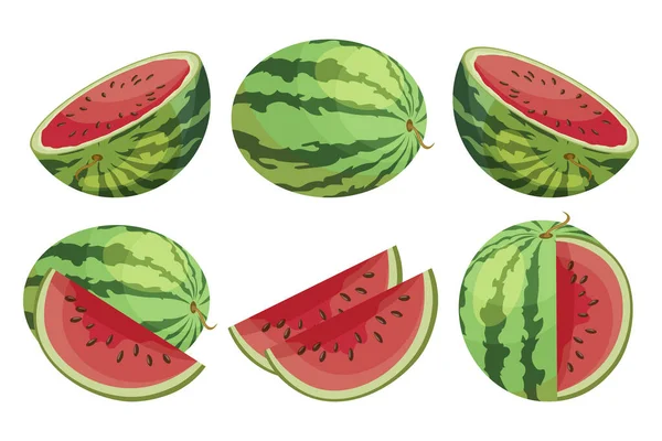 Drawn Ripe Watermelons Whole Cut Fruits Watermelon Icons Set Illustration — Stock Vector