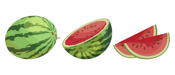 Gerijpte Watermeloenen Geheel Gesneden Vruchten Watermeloen Iconen Ingesteld Illustratie Decor — Stockvector