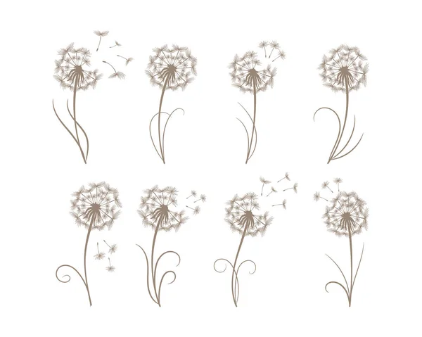 Set Drawn Dandelions Flying Fluff Line Art Floral Templates Print — Image vectorielle