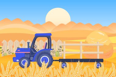 Karavanı olan tarım traktörü ve kulakları olan buğday tarlaları. Çiftlik ve kırsal ekonomi kavramı. Görüntü, vektör