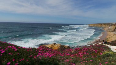 Okyanusun kıyıları pembe tropikal çiçeklerle kaplandı. Mavi bulutlu gökyüzü olan deniz burnu. Yaz