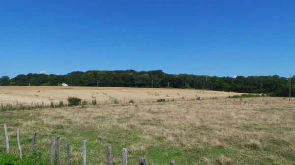 Village Fields Cut Hay Summer Landscape — стоковое фото