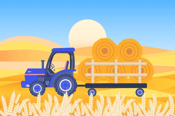 Agricultural Tractor Trailer Hay Background Wheat Ears Fields Illustration Vector — Stockvektor