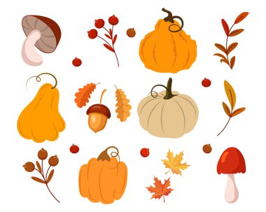 Autumn set, pumpkins, mushrooms, acorns, rowan and maple leaves on a white background. Autumn print, decor elements, vector