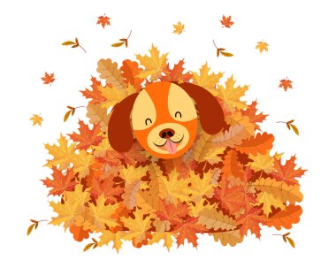 Cute funny dog in a pile of autumn leaves. Cartoon illustration for children, autumn print, vector