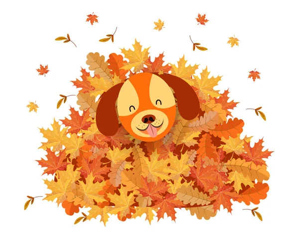 Cute funny dog in a pile of autumn leaves. Cartoon illustration for children, autumn print, vector