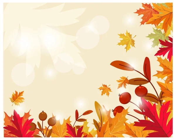 Frame Autumn Maple Leaves Rowan Branches Light Background Sun Glare — Stock Vector