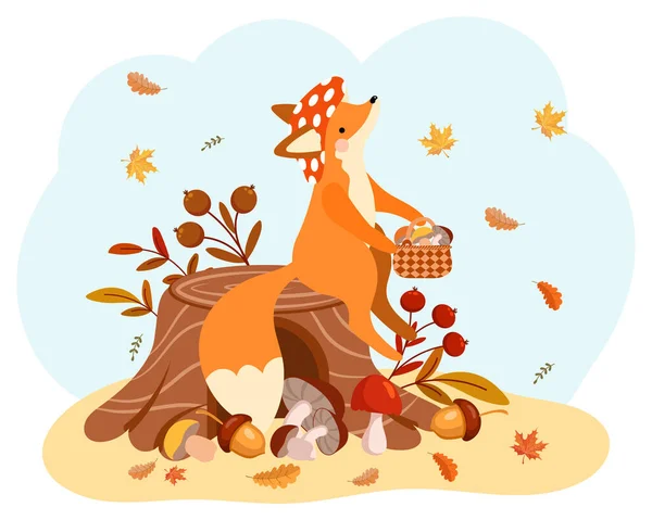 一只可爱的卡通狐狸 戴着一顶带着一篮蘑菇的苍蝇状的帽子 站在树桩上 儿童印刷品 秋季插图 — 图库矢量图片