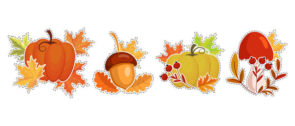 Set of autumn stickers, pumpkins, mushrooms and acorns with autumn leaves and rowan. Illustration, icons, template, vector