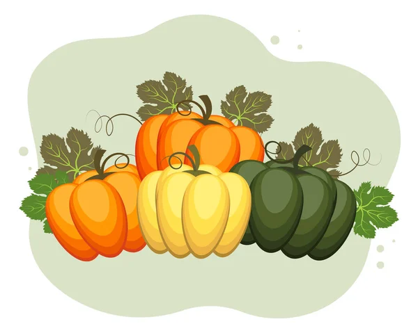 Thanksgiving Illustratie Samenstelling Van Kleurrijke Pompoenen Bladeren Briefkaart Vector — Stockvector