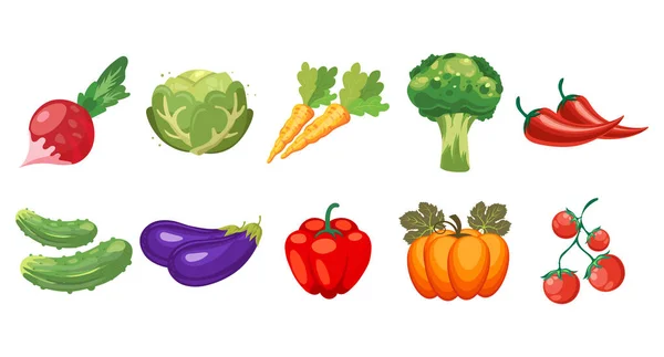 Conjunto Verduras Brócoli Tomates Cherry Col Pepinos Zanahorias Berenjena Chiles — Vector de stock