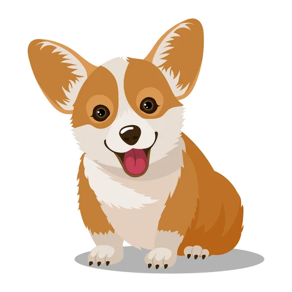 Cute Cartoon Corgi Dog Pets Illustration Kids Print Vector — Stock Vector