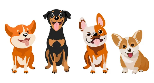 Farklı cinsten çizgi film köpekleri, pinscher, corgi, bulldog. Görüntü, vektör