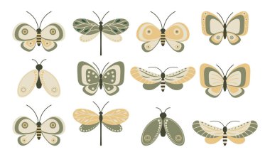 Böcekler, kelebekler, yusufçuklar ve güveler. Pastel renkler. Simgeler, vektör