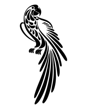 El çizimi tropikal kuş papağanı, süslemeli siyah siluet. Şablon, dövme, illüstrasyon, vektör