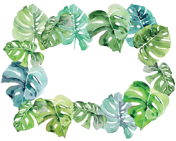 Tropické Botanické Rostliny Sada Tropických Listů Zelená Dlaň Ručně Malované — Stock fotografie