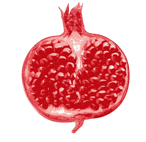 Jedno Granátové Jablko Ovocné Malované Akvarel Granátové Jablko Ovoce Vzor Stock Obrázky