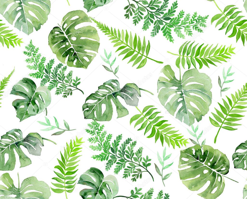 Botanical leaves,set of tropical leaves: green leafs Hand painted watercolor illustration isolated on white