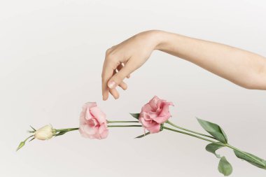kadın el çiçekleri dekorasyon moda ışığı arka planı