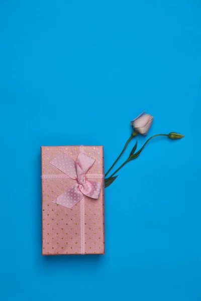 Caixa de presente flores celebração aniversário fundo azul — Fotografia de Stock