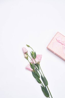 Pembe kutulu çiçek buketi süsleme bayram doğum günü ışığı arka planı