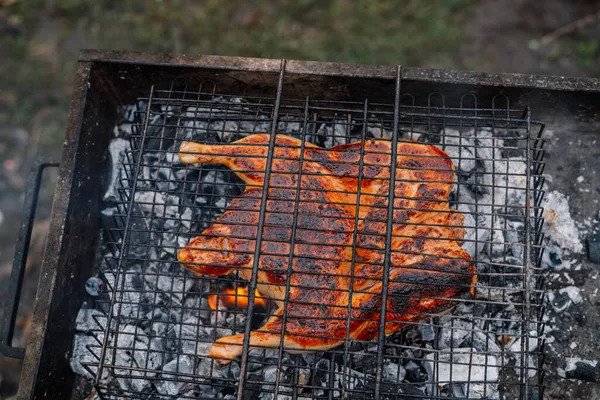 Nature barbecue grilling food barbecue outdoor recreation — Stock Photo, Image