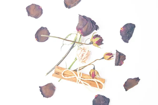 Ros kronblad bukett blommor dekoration kanel skönhet — Stockfoto