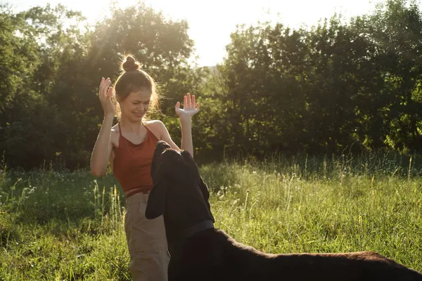 Fröhliche Frau spielt im Sommer mit Hund auf einem Feld in der Natur — Stockfoto